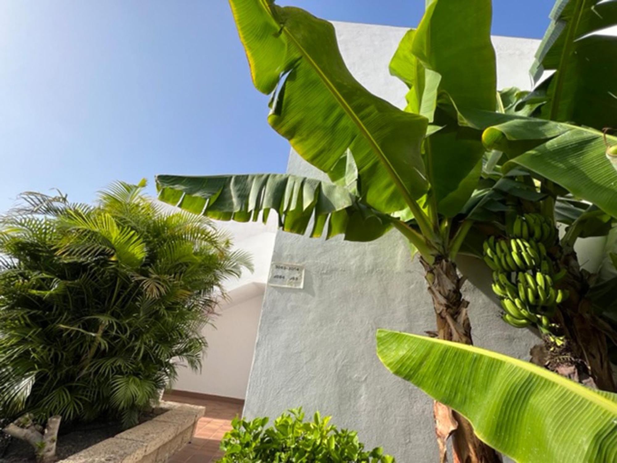 Apartament Malibu Blue Адехе Екстер'єр фото